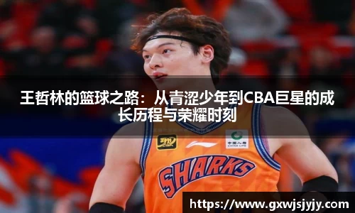 王哲林的篮球之路：从青涩少年到CBA巨星的成长历程与荣耀时刻